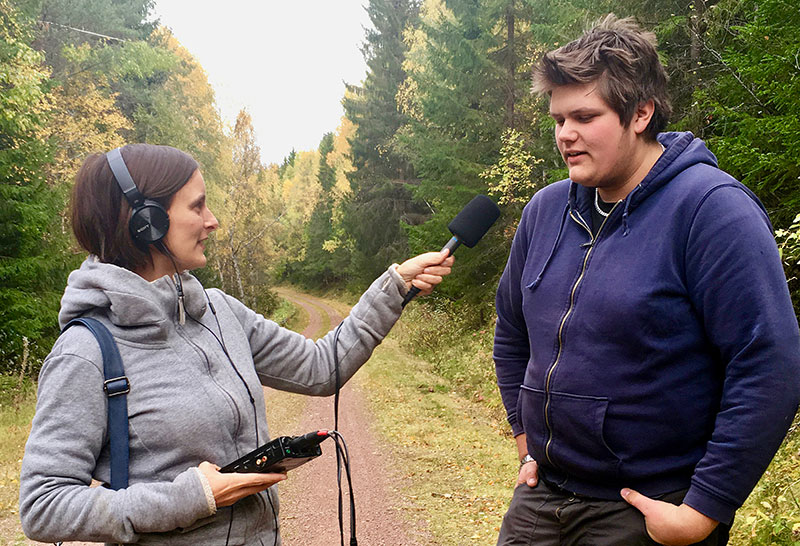 Interviewing an Elfdalian